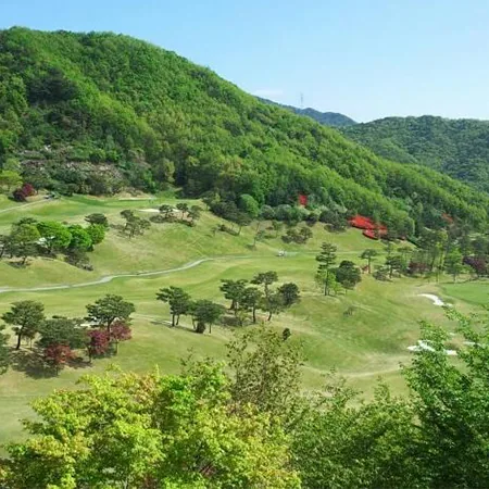 천룡 주중 로고