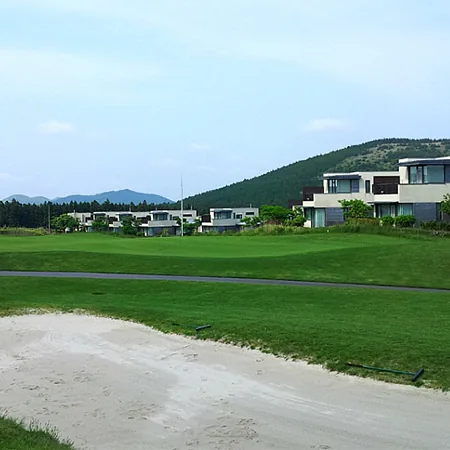 사이프러스 로고