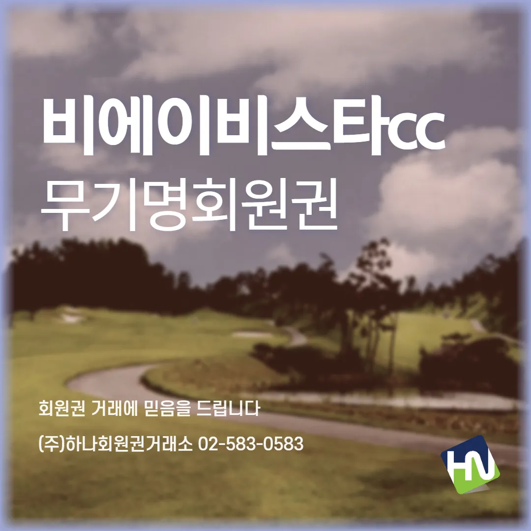 비에이비스타 무기명