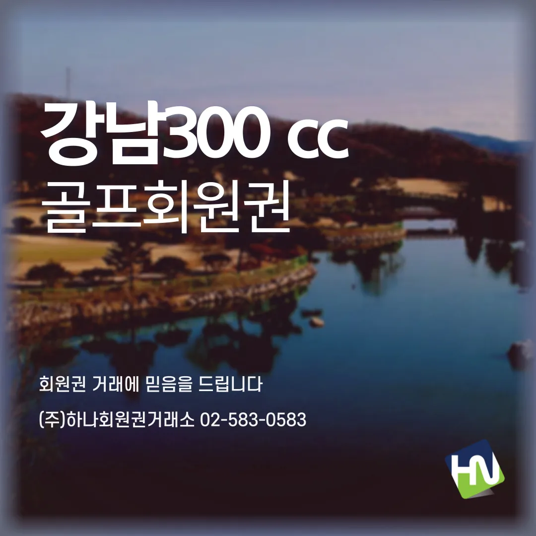 강남300