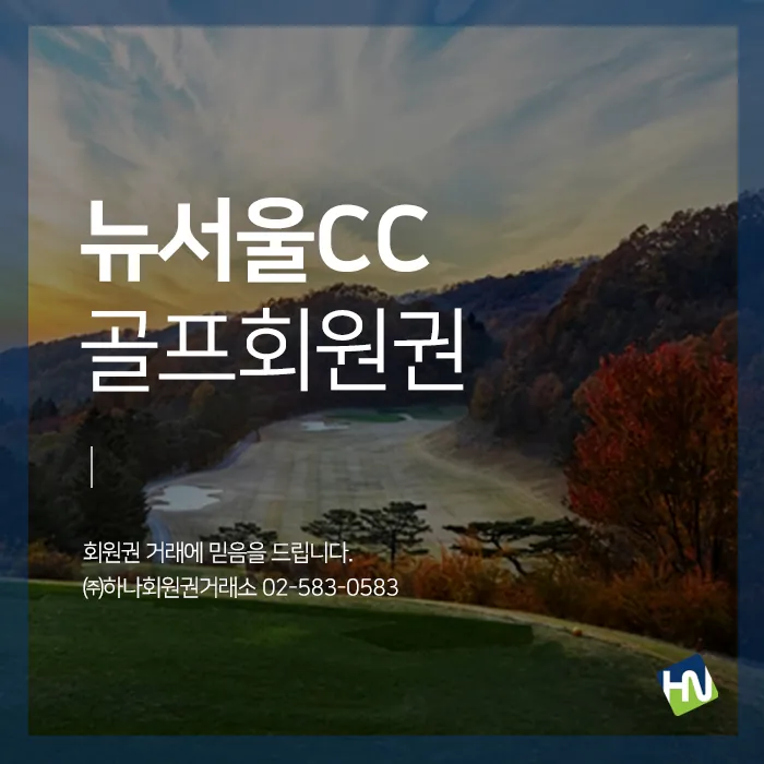 뉴서울