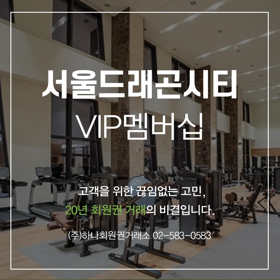 드래곤시티VIP 1