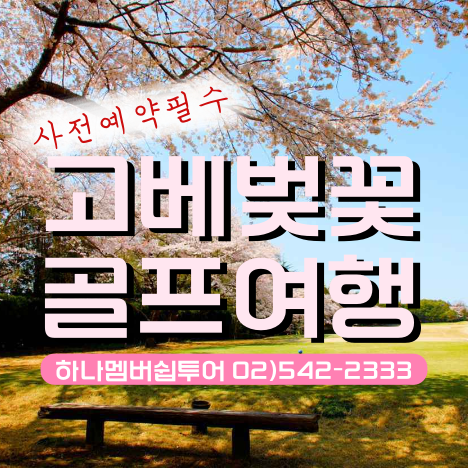 고베 벚꽃 골프투어